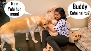 Calling My Dog When He is Right Next to Me Challenge | He Hated it 😂