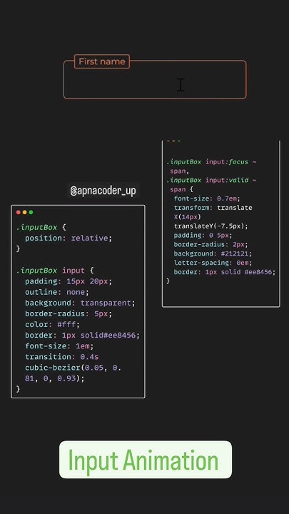 Input Animation in HTML,CSS - YouTube
