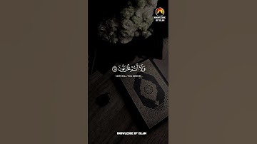 راحة نفسية❤️✨حالات واتس اب قران/مقاطع دينية قصيرة آيات قرانية/ستوريات انستا#قرآن_كريم