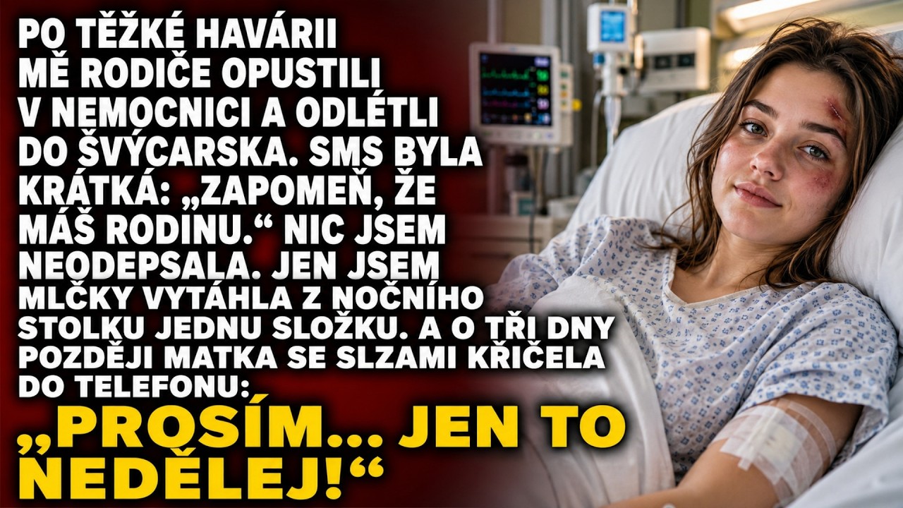 Ležela jsem po třech operacích v nemocnici, když za mnou otec přišel s deskami. „Musíme si promluvit,“ řekl a položil je mimo dosah mé ruky. „Za deset dní odlétáme. Podepíšeš plnou moc, my vše...