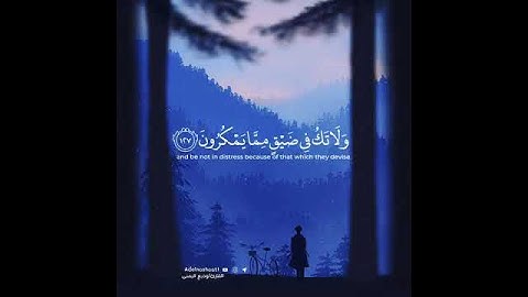 قرآن كريم بصوت وديع اليمني / حالات واتس اب.. ♡"ارح مسمعك "♡