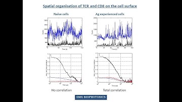 Super Resolution Fluorescence Cross Correlation Microscopy