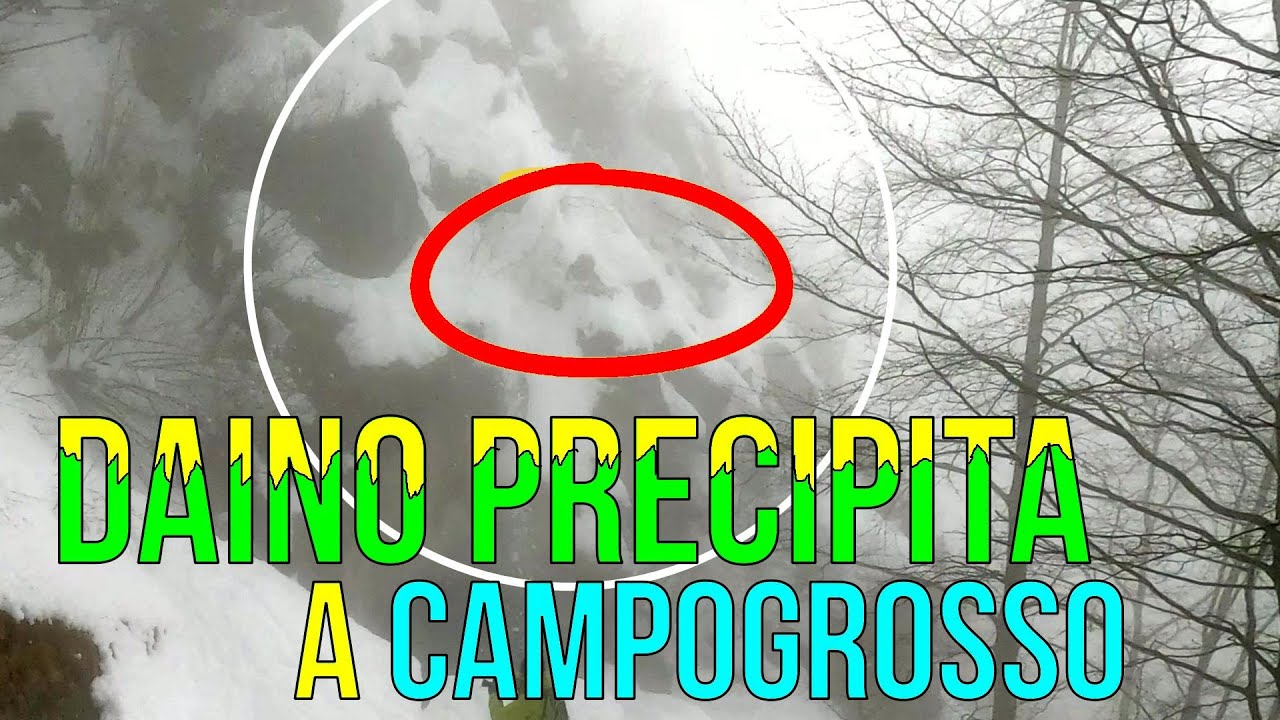 CAMOSCIO PRECIPITA a Campogrosso - Recoaro. Ripeto è un CAMOSCIO
