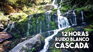 12 Horas de Ruido Blanco | Sonido de Agua Cayendo por una Cascada | Dormir, Calmar mente, Meditar.