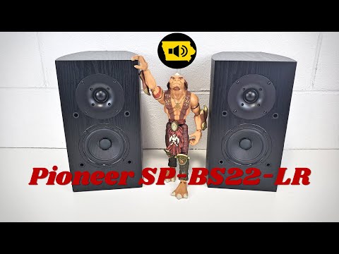 Pioneer SP-BS22-LR Budget Bookshelf Speakers (Still Great in 2019)