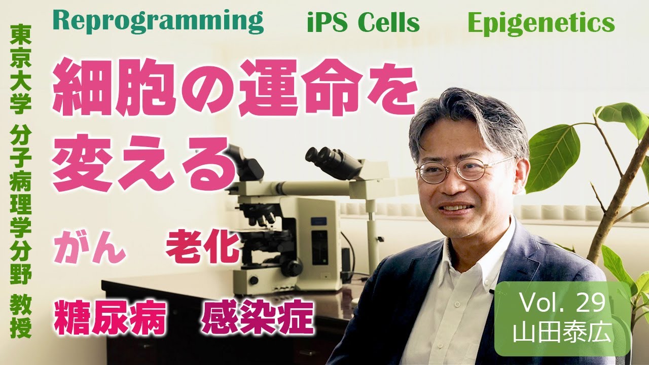 無邪気な好奇心に支えられた研究が、やがて社会の役に立つ：　細胞の運命を変える技術で命を守る　山田　泰広　東京大学大学院医学系研究科　分子病理学分野　教授