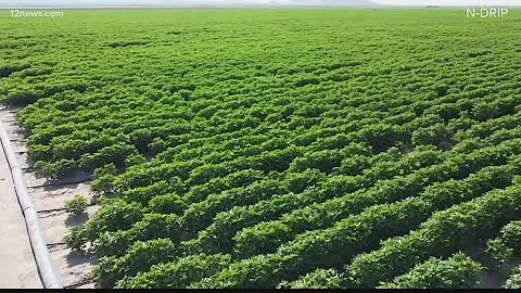 Record-breaking drought causing Arizona farmers to try new water-saving technology