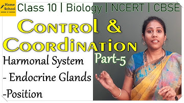 Control and Coordination | Part 5 | Class 10 Biology | CBSE | NCERT 2022