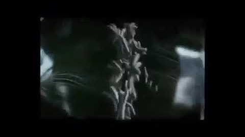 مراحل تكون الجنين في بطن أمه مع تلاوه خاشعه للشيخ عبد الباسط عبد الصمد