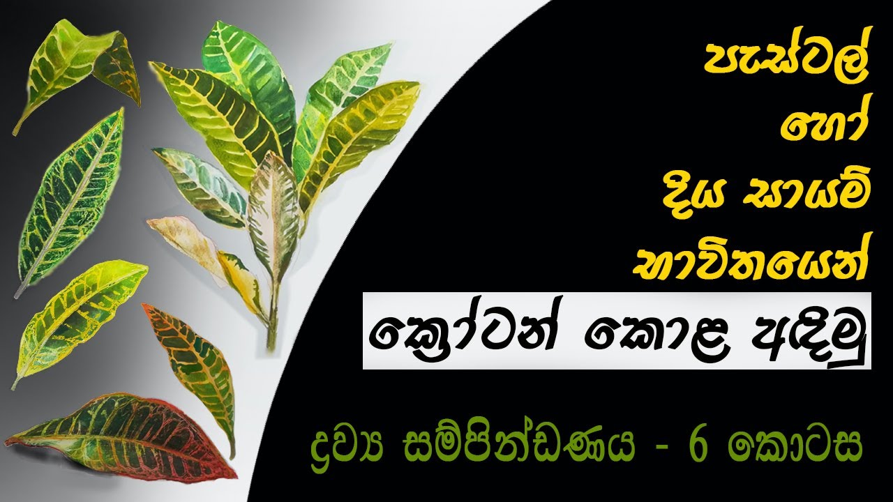 ද්‍රව්‍ය සම්පිණ්ඩනය - (6 කොටස ) 