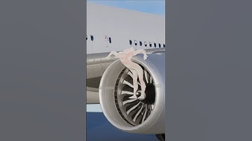 What Happens When You