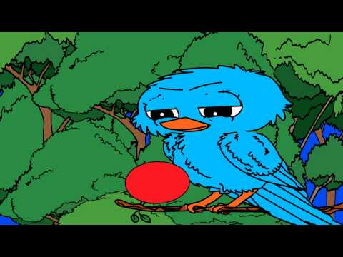 Blue Bird Toon Boom animation HD