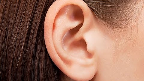 making an ear in 3ds max