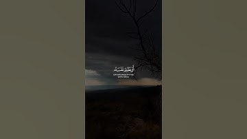 القارئ عبد الله غيلان ❤️😍 - سورة النساء - الآية 110