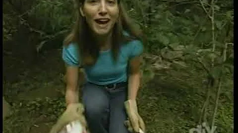Fresh From The Orchard With Kelly Givens  -  Plant...