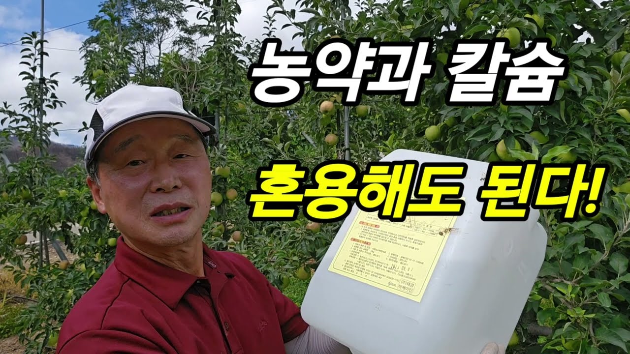 농약과 칼슘 혼용해도 된다! 칼슘 박사와 AI의 명쾌한 답변, 혼용 논쟁 이것으로 끝!