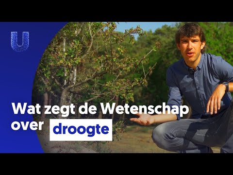 Video: Droogt rendiermos uit?