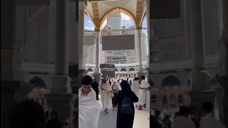 পৃথিবীর সবচেয়ে মধুর সুর | The Most Beautiful Sound in the World.