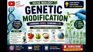 Genetic Modification | How Genes Are Inserted | IGCSE Biology #biology #genetics #modification