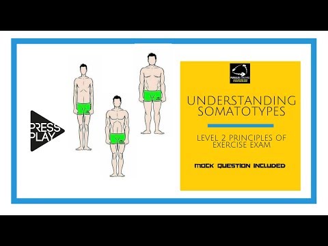 Understanding Somatotypes: Level 2 Principles Revision