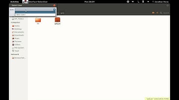 First Steps with GelJ