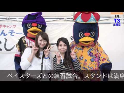 2016年スワローズキャンプアルバム
