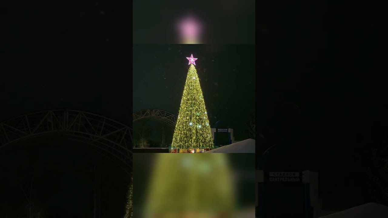 В преддверии 2025. Зима 2024-2025 