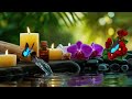 Relaxing Music for Sleep, Focus and Healing 🌿 Calming Nature Sounds for Work, Meditation and Peace