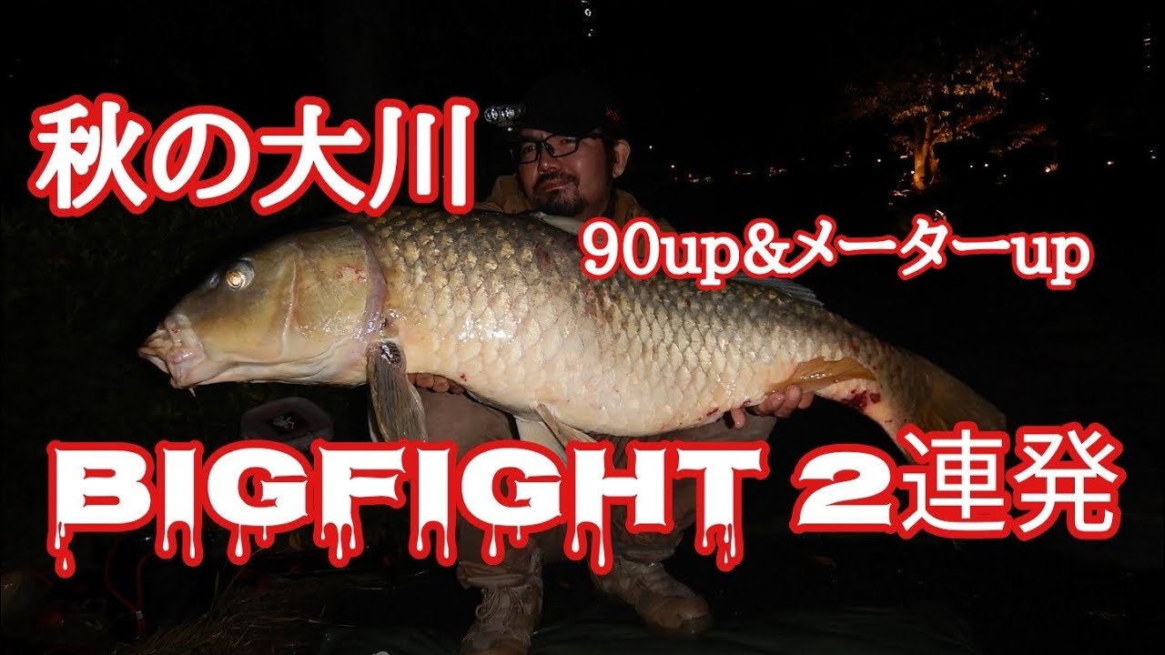 Carp Fishing 大鯉倶楽部 24冊セット 美品 廃盤 鯉釣り 巨鯉 BIG FIGHT 90up大鯉メーターup巨鯉2連発！ #鯉釣り #carpfishing