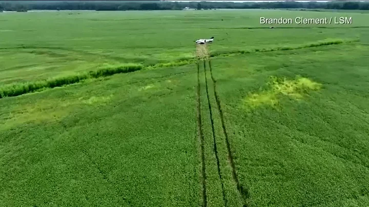 Crash threat over Mississippi skies ends with pilo...
