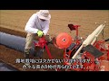 サツマイモの畝立て 繋ぎ目処理