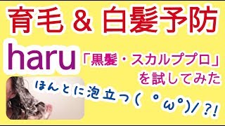 薄毛抜け毛に効果的なシャンプー！haru「黒髪・スカルププロ」徹底レビュー！