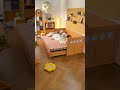 小部屋に置ける神ソファ#sofabed #foldablesofabed #multifunctionalfurniture #smallspaceliving #home #shorts