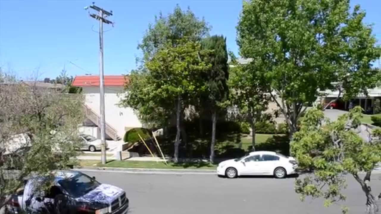 Stunning Professionally Managed Home Right By The Beach