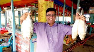 পদ্মার পাড়ে পদ্মার ইলিশ - AMAZING GIANT HILSHA FISH FRY FROM THE BANK OF PADMA RIVER - MAWA GHAT