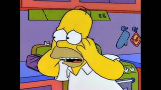 The Simpsons - Our Kids will be horrible freaks with pink skin