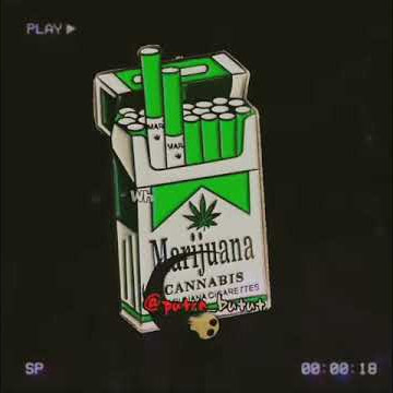 Story wa keren anak rasta || story wa anak vespa reggea