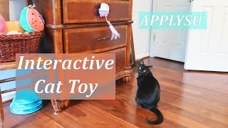 APPLYSU 2 in 1 Interactive Cat Toy