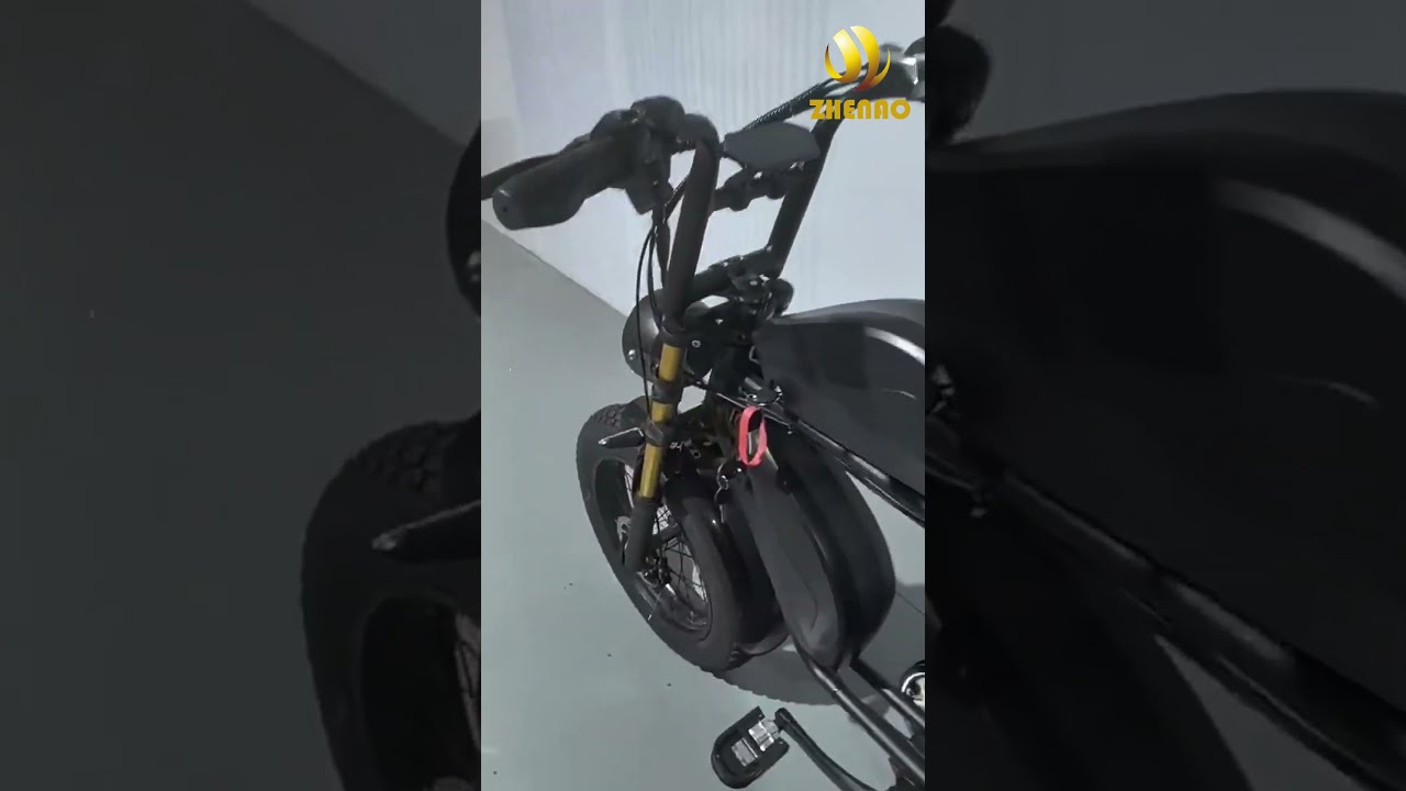 20 Inch Fat Tire Snow E Bike With Dual Battery All Terrain Adventure Electric Bicycle City