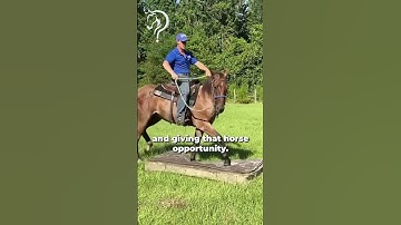 Intro To Walking On A Mattress With Your Horse! Part 3! | The Horse Guru - Michael Gascon