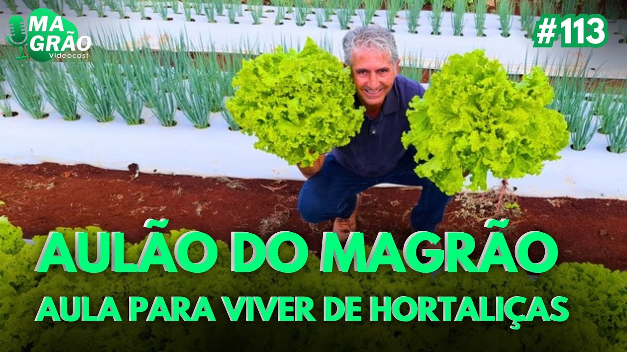 AULÃO PARA VIVER DE HORTALIÇAS COM QUALIDADE DE VIDA - MAGRÃO VIDEOCAST ...