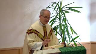 Homily  Tuesday June 6  2023  St Aidan Parish By Fr Steven