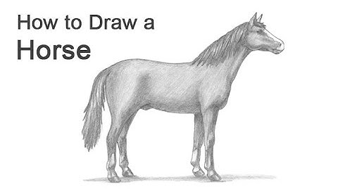 How to Draw a Horse