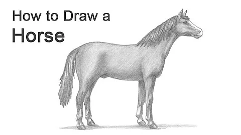 How to Draw a Horse