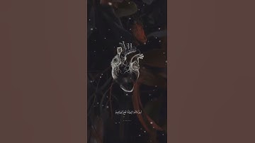 تلاوه هادئه للقارئ عبدالرحمن مسعد الا بذكر الله تطمئن القلوب😴😴❤️