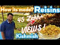 How it’s made Kishmish || Dried grapes (Raisins) || Dry Fruits of India  || Farming Engineer ||