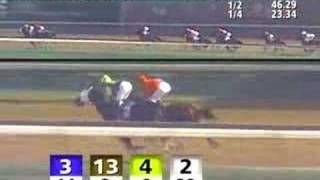 CHURCHILL DOWNS, 2007-11-18, Race 2
