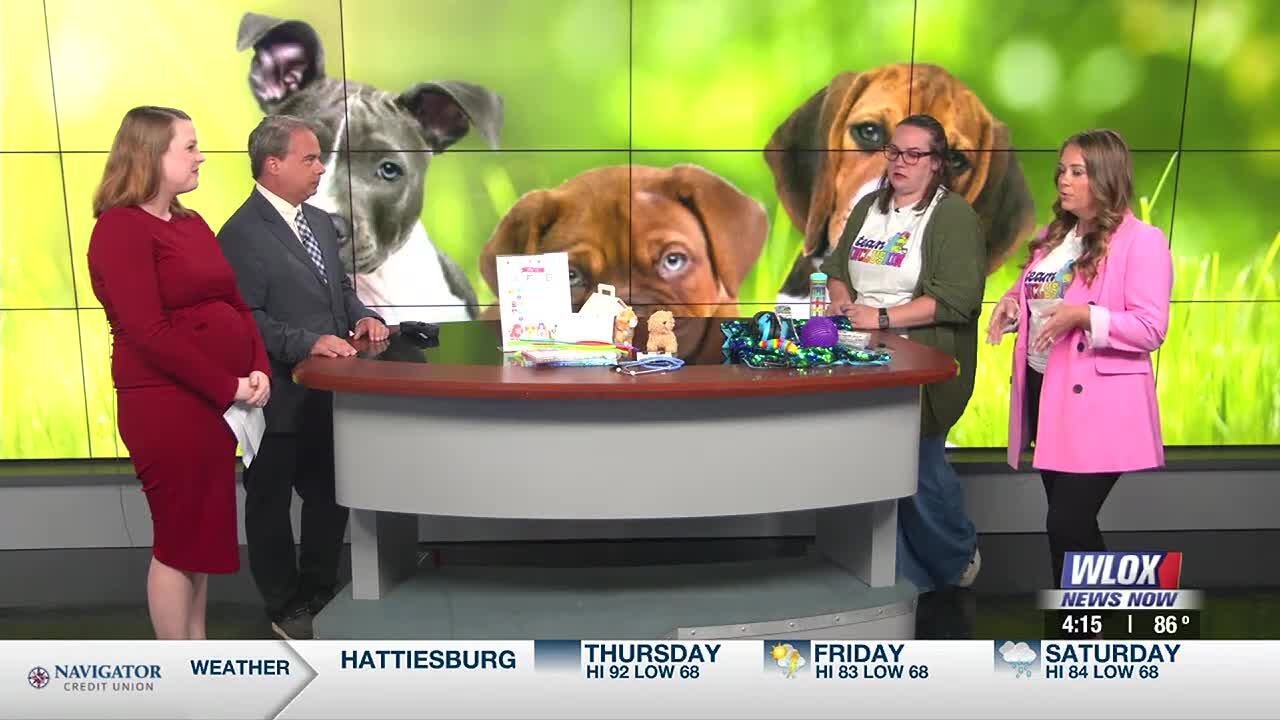 Happening August 30: Pawsitive Connections with Embrace Abilities