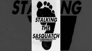 Did Bigfoot Kidnap This Man… Or Was It a Hoax