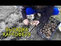Высаживаю проросшую картошку  экономно– проверим, что вырастет! Что из этого выйдет?